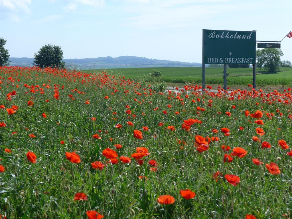 Bakkelund Bed & Breakfast Borre Esterno foto